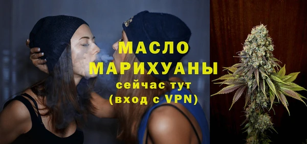 сатива Верея