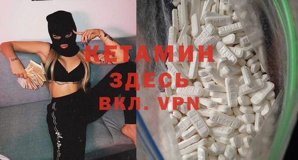сатива Верея