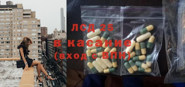 стафф Гусев