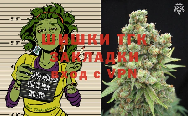сатива Верея