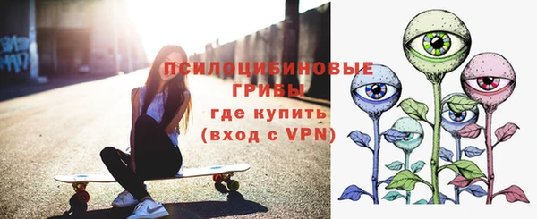 сатива Верея